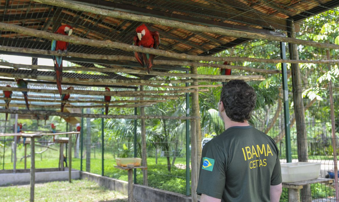 Foto: Agência Brasil - EBC