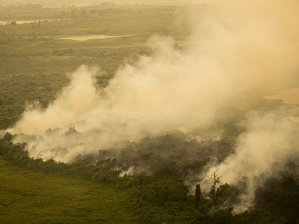 Foto: Jornal de Brasília