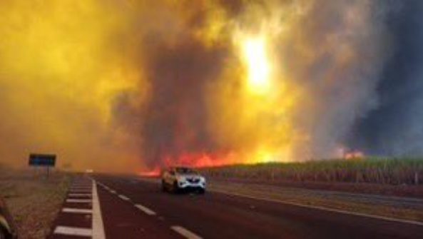 Foto: Gazeta Brasil