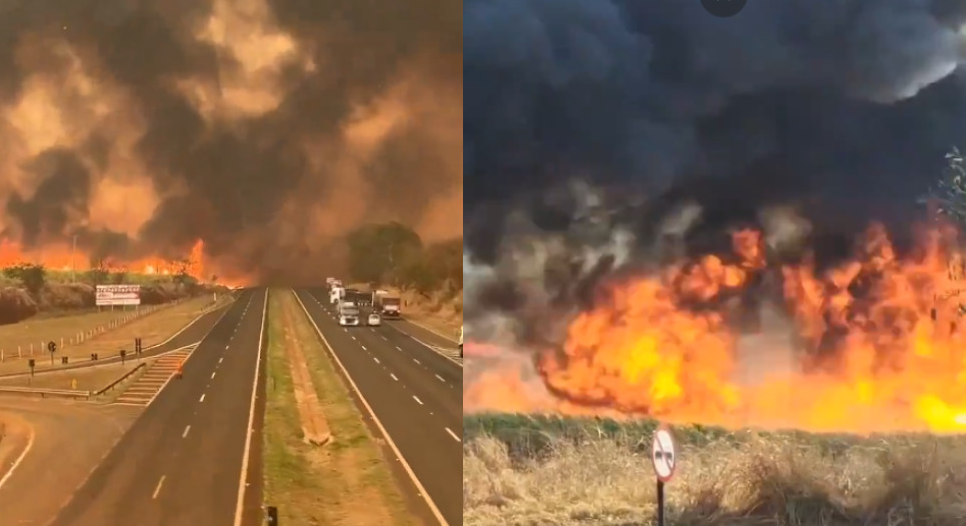 Foto: Gazeta Brasil