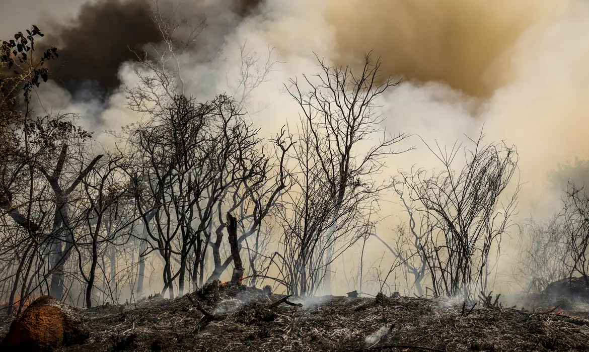 Foto: Gazeta Brasil