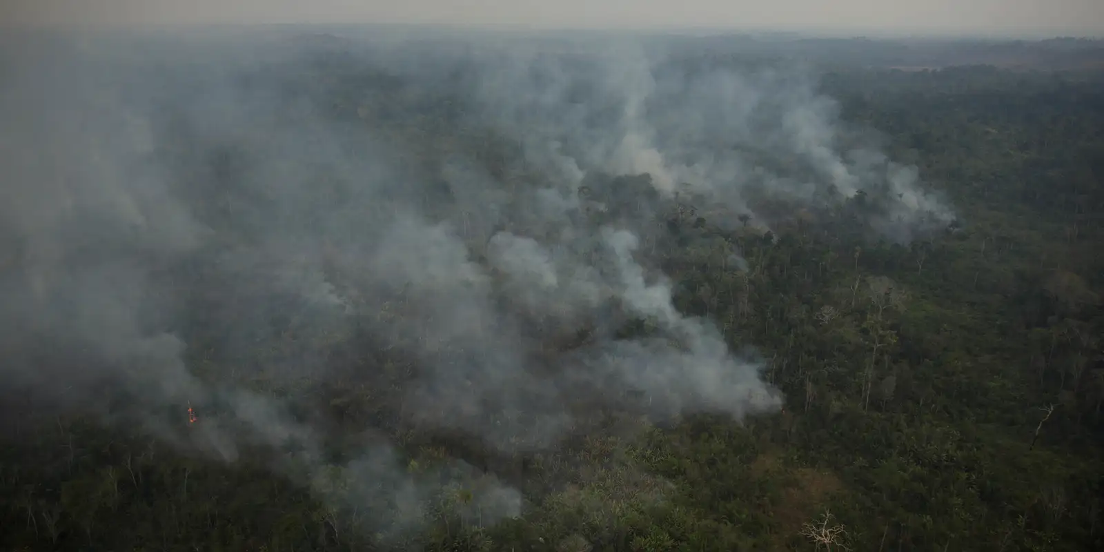 Foto: Agência Brasil - EBC