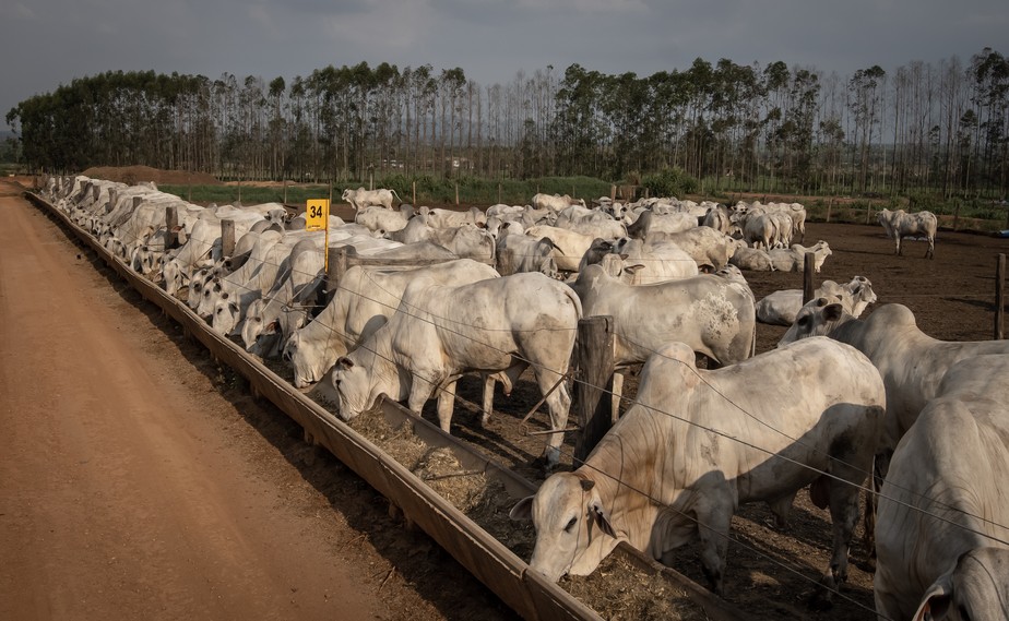 Foto: O Globo