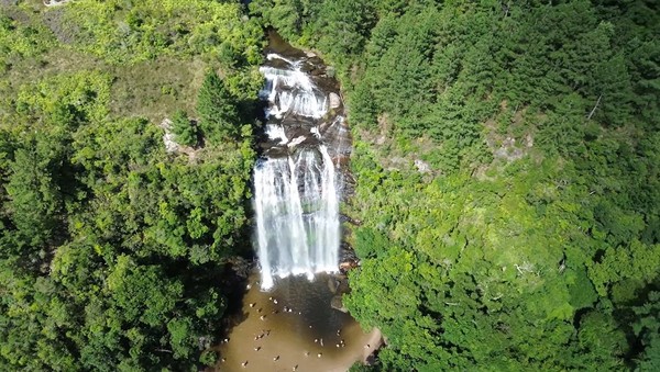 Foto: G1 - Globo