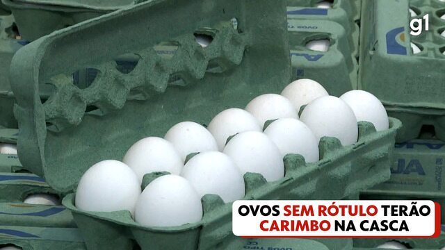 Foto: G1 - Globo